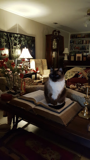 Bistro «House Wine & Bistro», reviews and photos, 1117 U.S. 83 Business, McAllen, TX 78501, USA