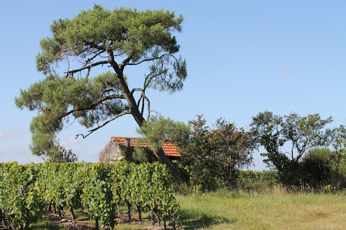 Tisserond Earl à Chavagnes