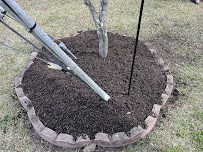 Golf Course Kutz | Lawn Care and Landscaping - Photo 6 - Car repair in , Jacksonville