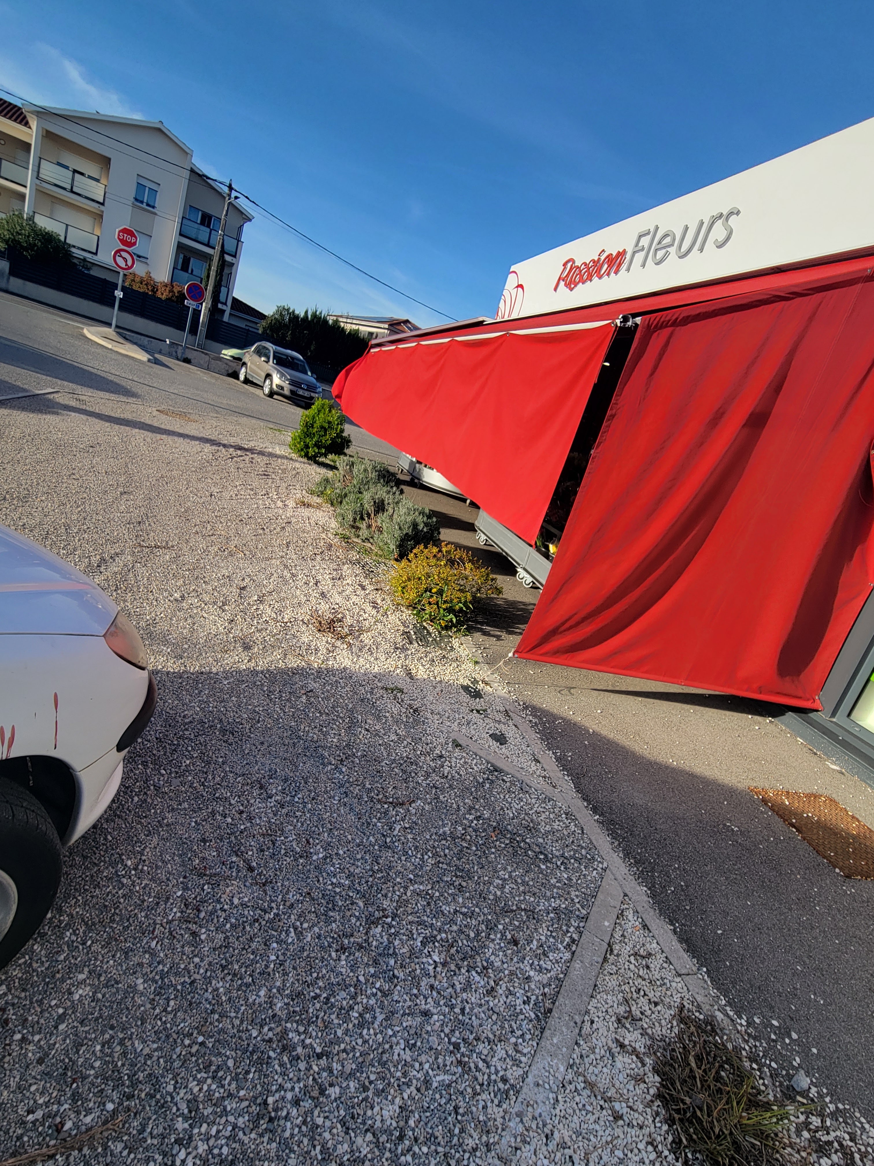 Photo n° 2 de l'avis de Manon.e fait le 21/03/2024 à 17:02