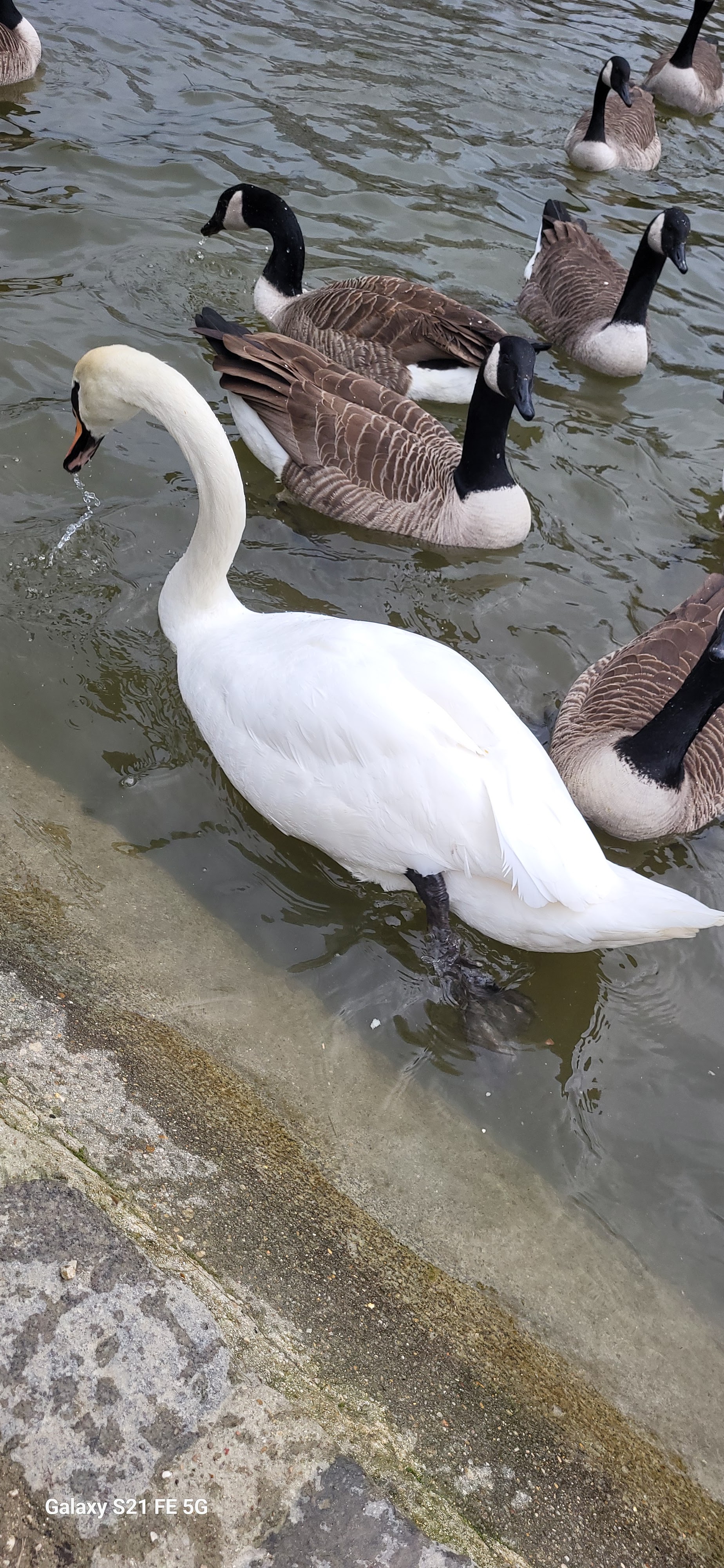 Photo n° 2 de l'avis de Geoffrey.E fait le 14/01/2024 à 17:56