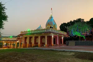 श्री देवी भद्रकाली मंदिर Bhadrakali Mandir image