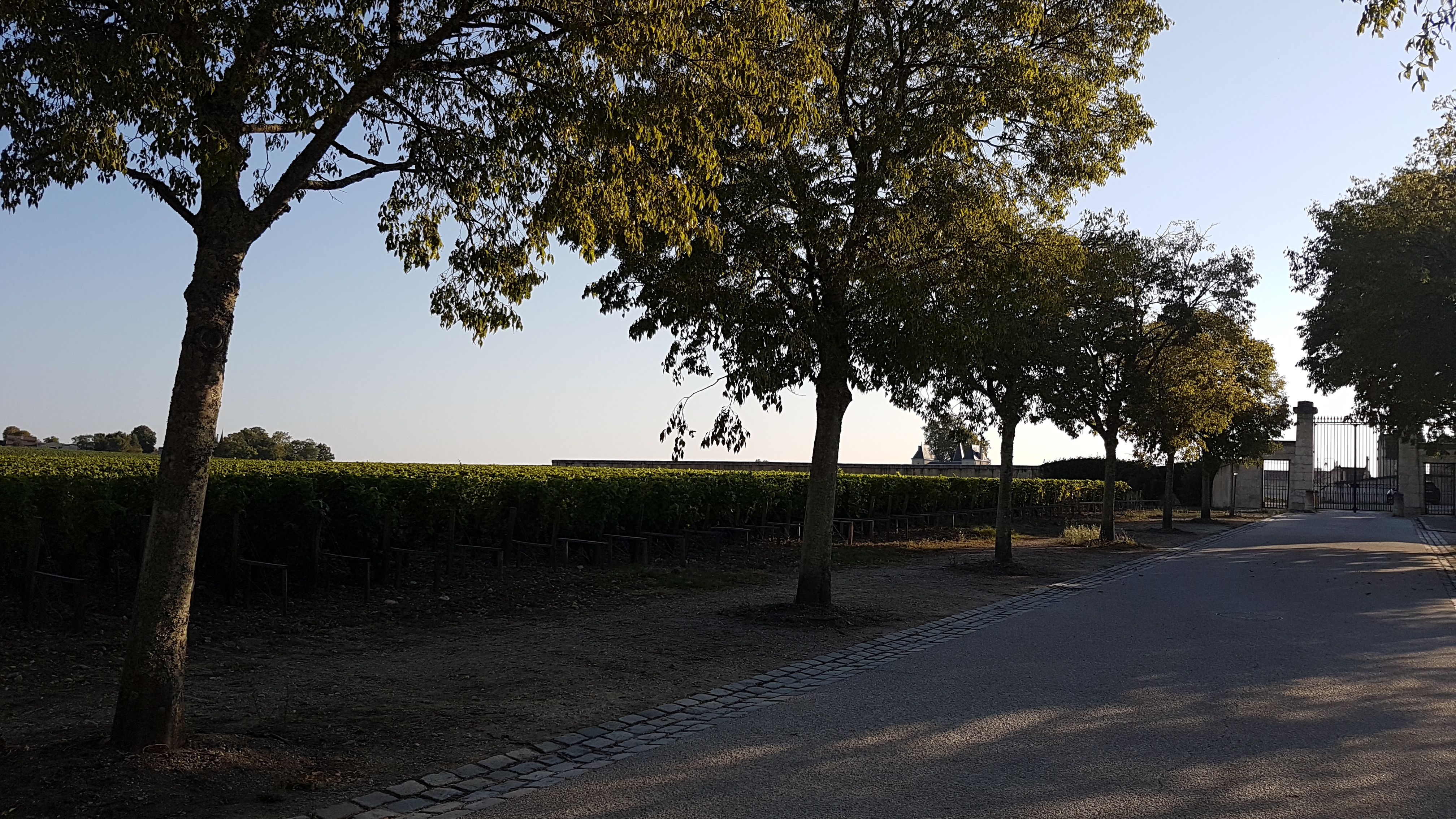 Photo n° 2 de l'avis de Gui.9 fait le 25/08/2019 à 06:23