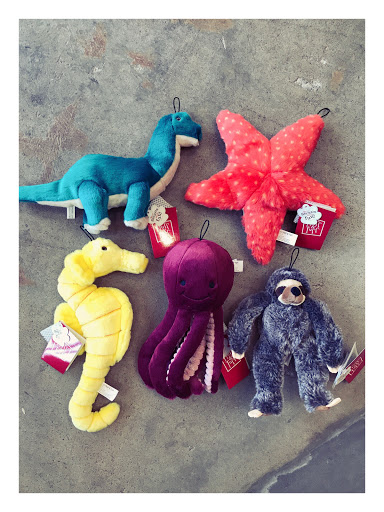 Pet Supply Store «Dog Dish», reviews and photos, 1778 Utica Square, Tulsa, OK 74114, USA