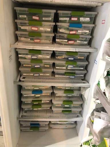 Brewing Supply Store «Grape & Grains», reviews and photos, 104 Mauldin Rd A, Greenville, SC 29605, USA