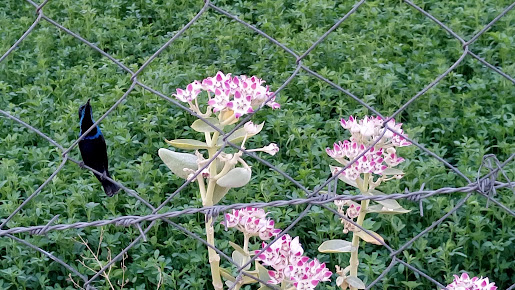 Google Maps image 11