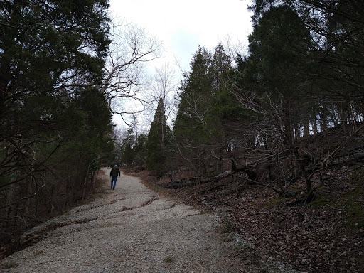 Park «Cave River Valley Park», reviews and photos, 6031-6871 N Cave River Valley Rd, Campbellsburg, IN 47108, USA