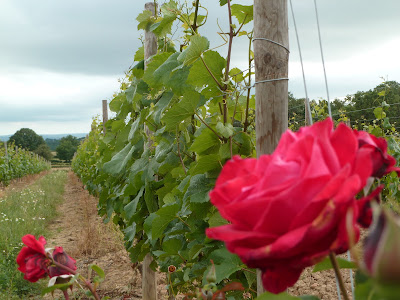 Domaine Grosbot Barbara à Cesset