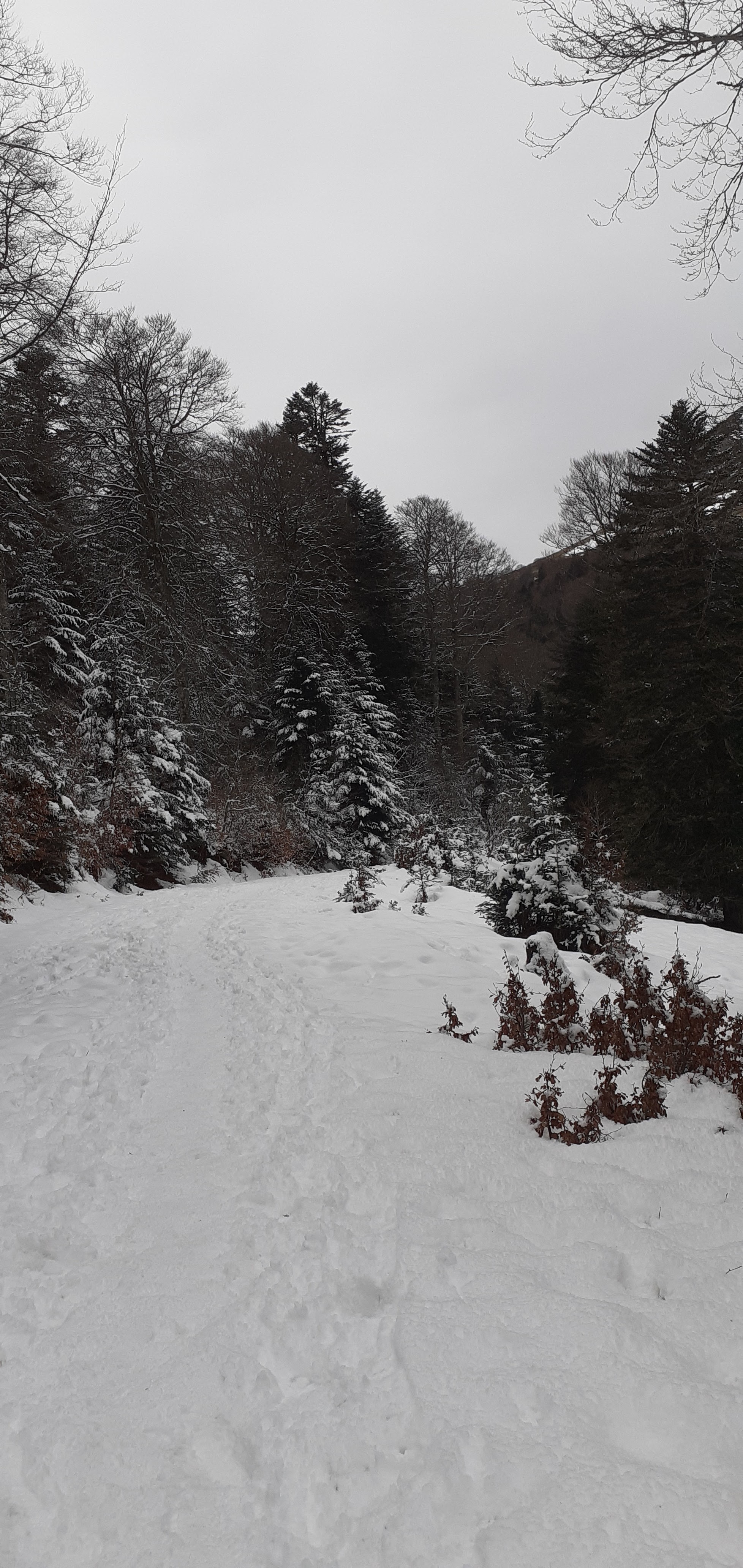 Photo n° 2 de l'avis de Les.e fait le 25/02/2023 à 20:33