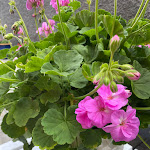 Photo n°8 de l'avis de Tina.e fait le 18/11/2023 à 12:56 sur le  TERRA - Food Concept à Funchal