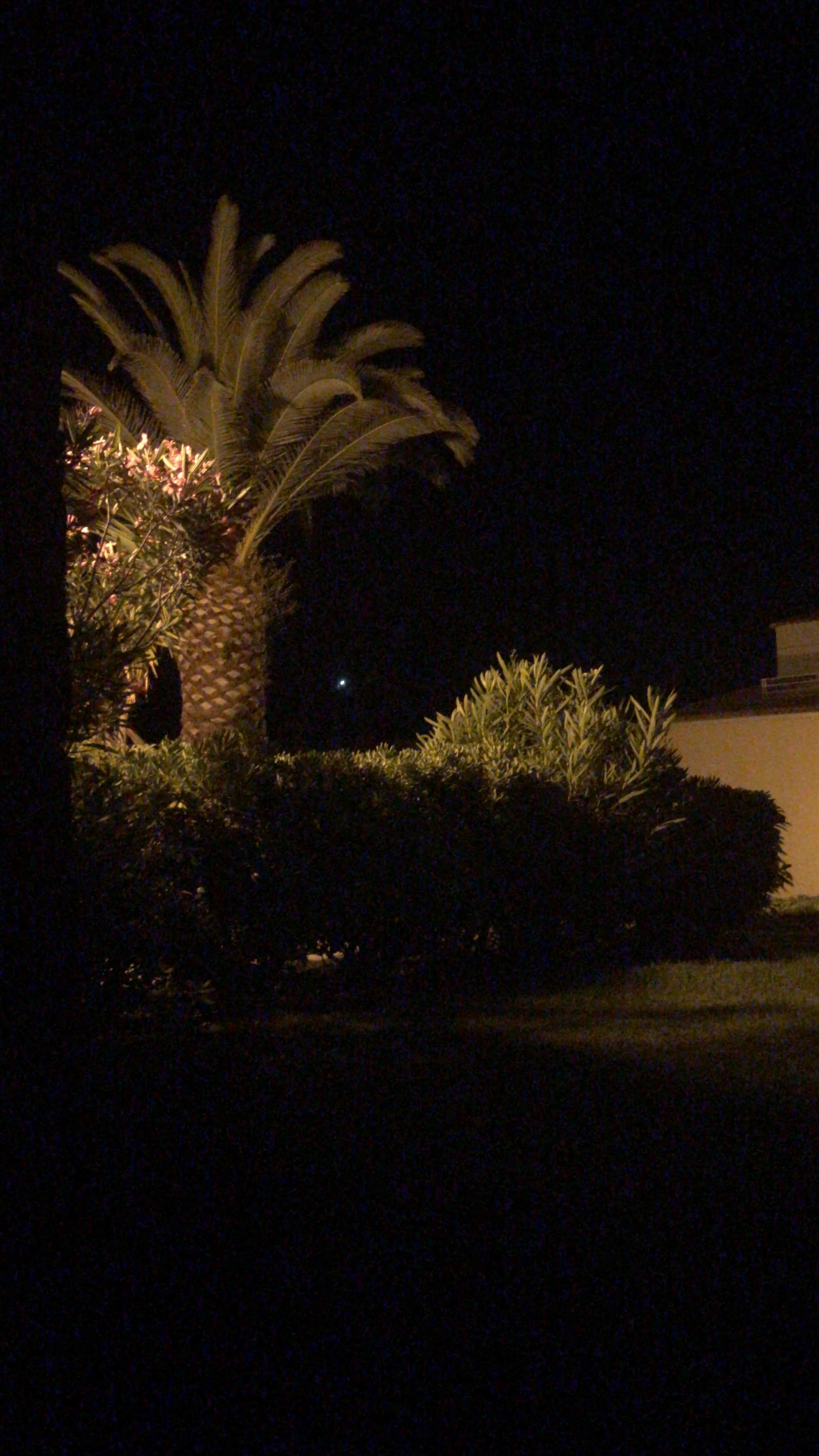 Photo n° 4 de l'avis de Ola. fait le 30/06/2018 à 02:06