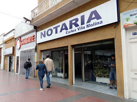 Notaria Vila