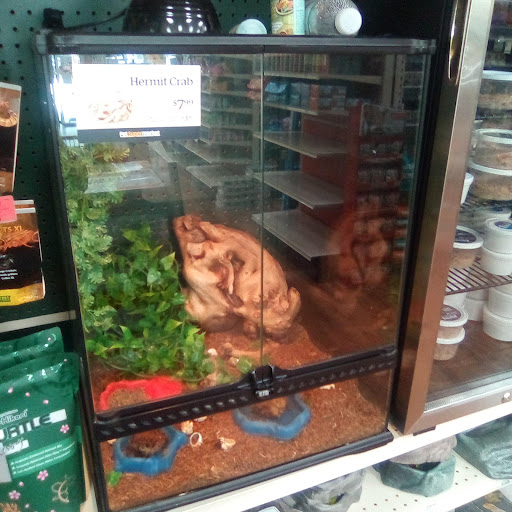 Pet Store «Pet Supermarket, Inc.», reviews and photos, 1938 FL-44 #40, New Smyrna Beach, FL 32168, USA