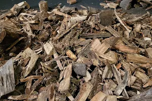 Warm and Toasty Firewood image