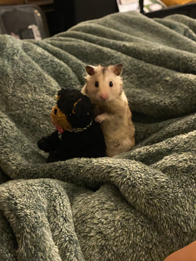 Pet Supply Store «Living Things», reviews and photos, 3437 PA-309, Orefield, PA 18069, USA