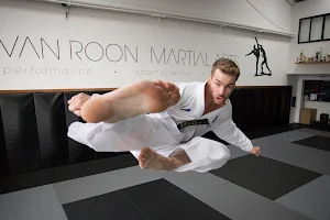 Van Roon Martial Arts | Auckland Taekwondo – Kickboxing – MMA image