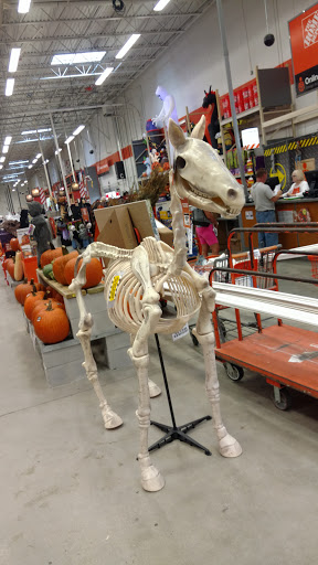 Home Improvement Store «The Home Depot», reviews and photos, 1315 US-19, Holiday, FL 34691, USA