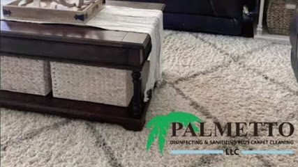 Palmetto Disinfecting & Sanitizing Plus Carpet Cleaning LLC