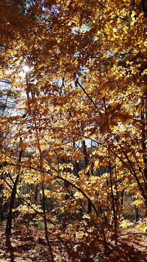 Park «Vietnam Veterans Park», reviews and photos, Treble Cove Rd, Billerica, MA 01821, USA