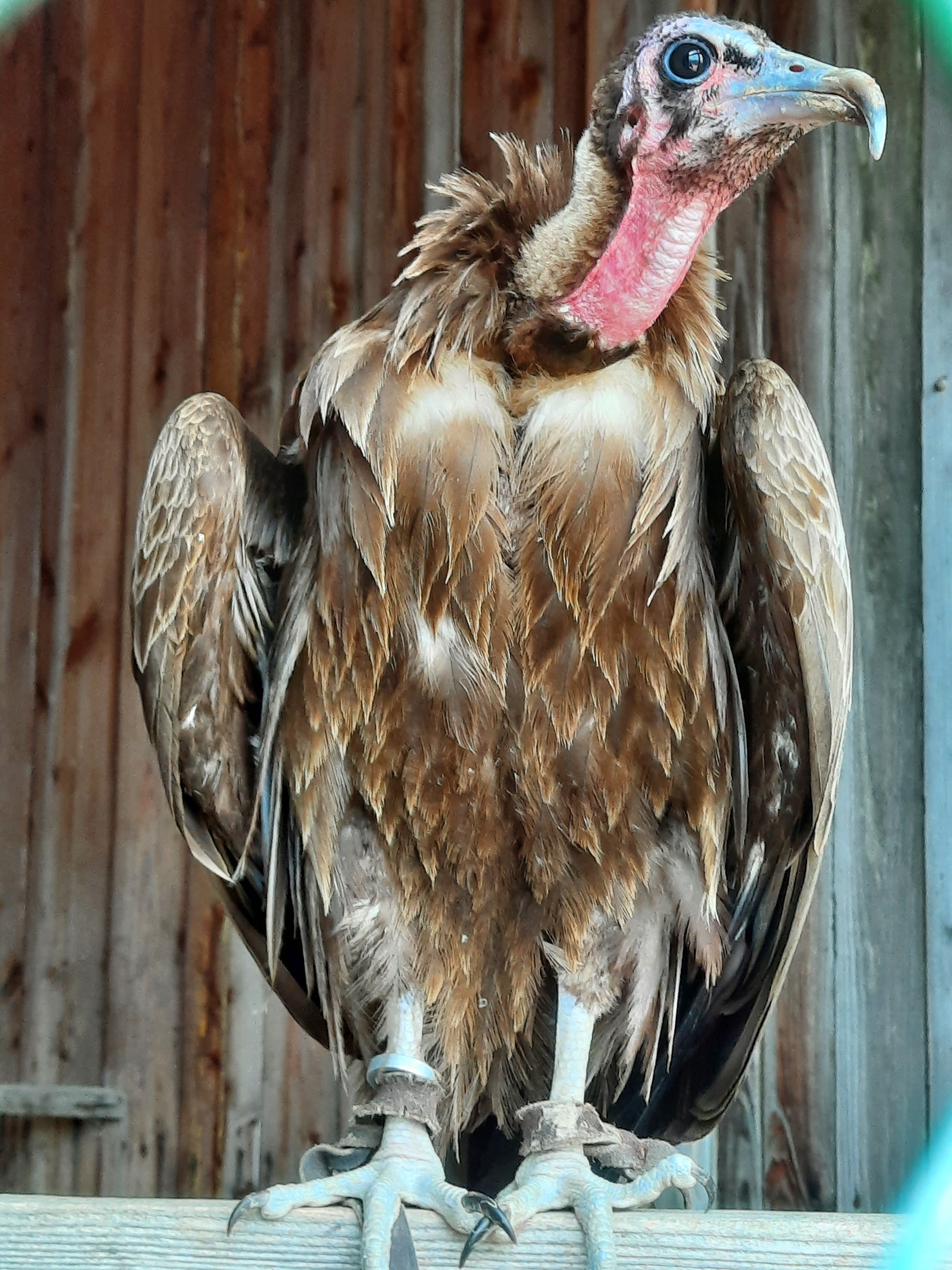 Photo n° 7 de l'avis de Dominique.o fait le 19/07/2022 à 17:28