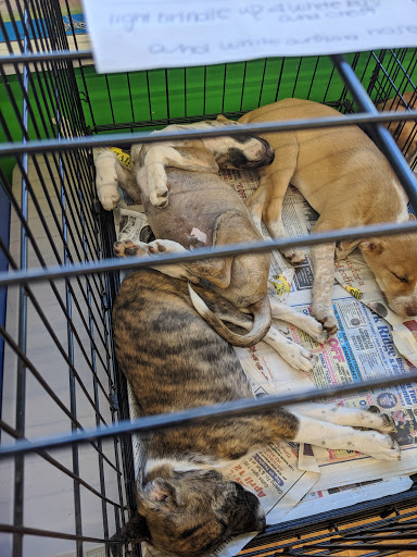 Pet Supply Store «Pet Supplies Plus», reviews and photos, 391 Broadway, Hillsdale, NJ 07642, USA