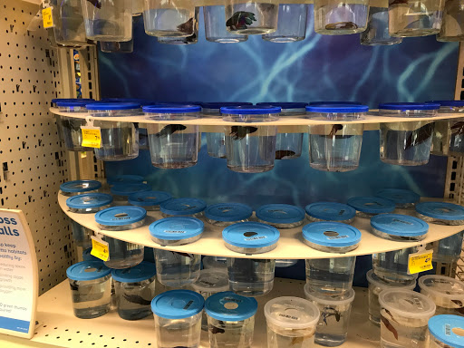 Pet Supply Store «PetSmart», reviews and photos, 13764 W Bell Rd, Surprise, AZ 85374, USA