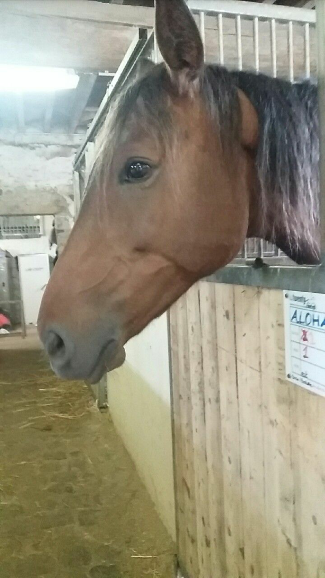 Photo n° 1 de l'avis de Ilona.. fait le 16/08/2017 à 20:15