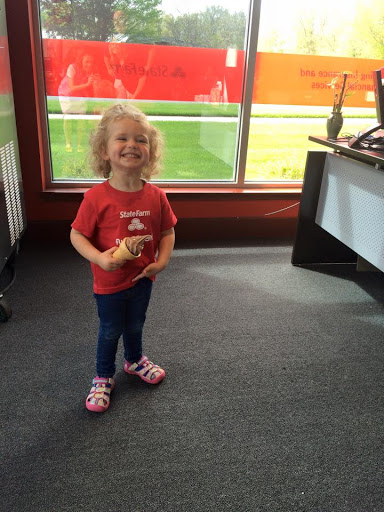 Auto Insurance Agency «Ryan Smeader - State Farm Insurance Agent», reviews and photos