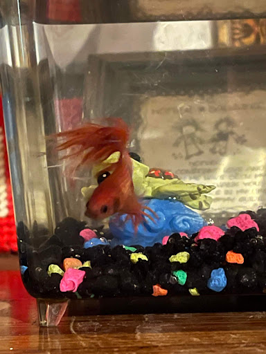 Pet Supply Store «Pet Supplies Plus», reviews and photos, 209 Towne Dr, Elizabethtown, KY 42701, USA