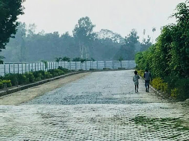 Google Maps image 11