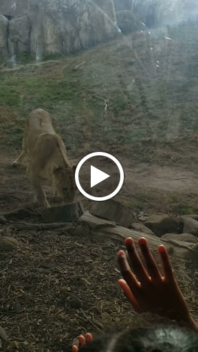 Zoo «Dallas Zoological Society», reviews and photos, 650 S R L Thornton Fwy, Dallas, TX 75203, USA