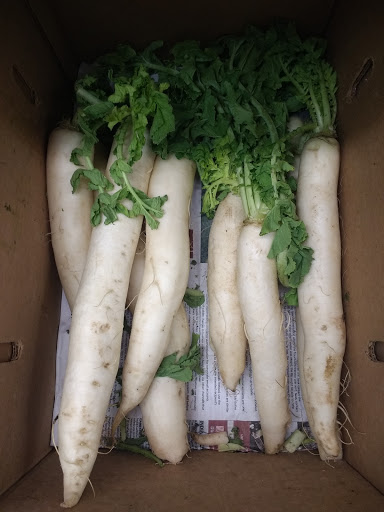 Indian Grocery Store «House of Spices Indian Store», reviews and photos, 9841 Bernwood Pl Dr, Fort Myers, FL 33966, USA