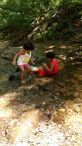 Nature Preserve «Strawberry Hill Nature Preserve», reviews and photos, 1537 Mt Hope Rd, Fairfield, PA 17320, USA