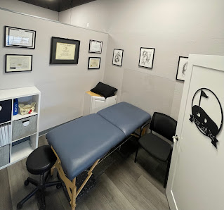 Rehab and Performance