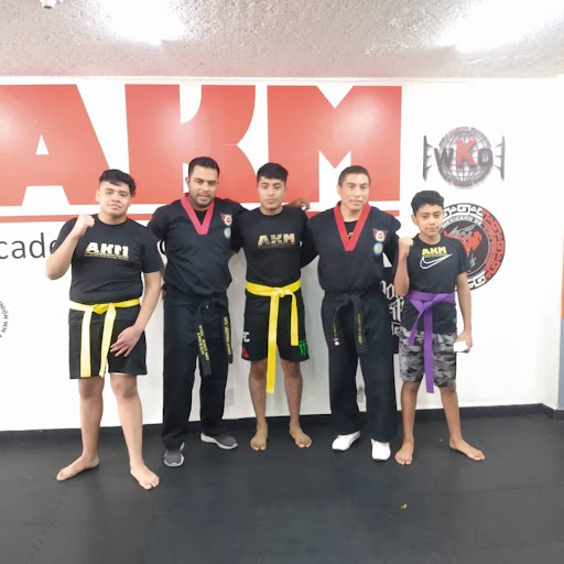 Academia Kick Boxing México