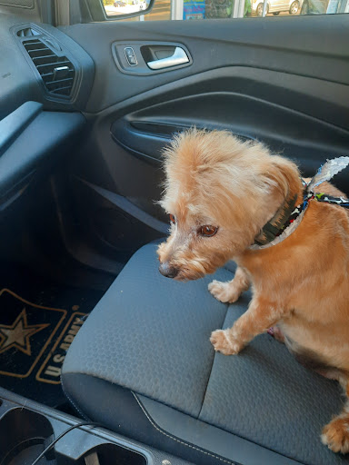 Pet Store «Boiling Springs Pet World», reviews and photos, 2651 Boiling Springs Rd, Spartanburg, SC 29316, USA