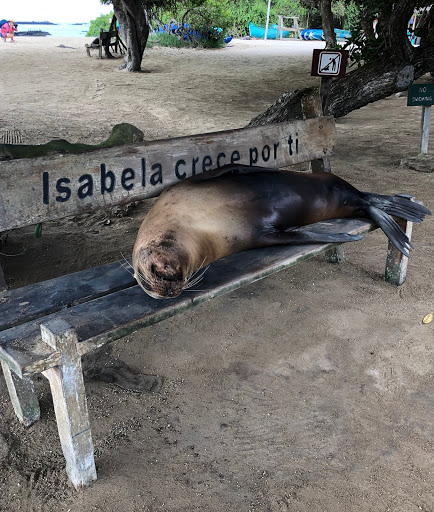 Travel Agency «Travel Leaders - RSVP Events & Travel», reviews and photos, 17281 Chesterfield Airport Rd, Chesterfield, MO 63005, USA