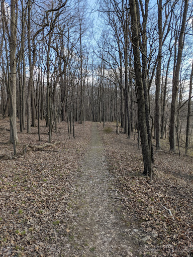 Nature Preserve «Lost Lake Nature Preserve», reviews and photos, Evans Rd, Holly, MI 48442, USA