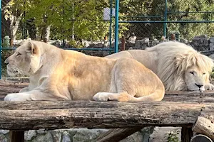 Belgrade Zoo image