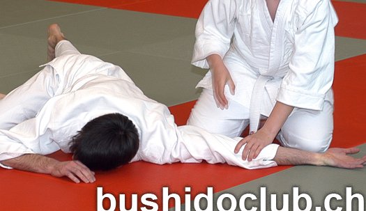 Bushido-Club - Aïkidô, Jôdô, Iaïdô - Freiburg