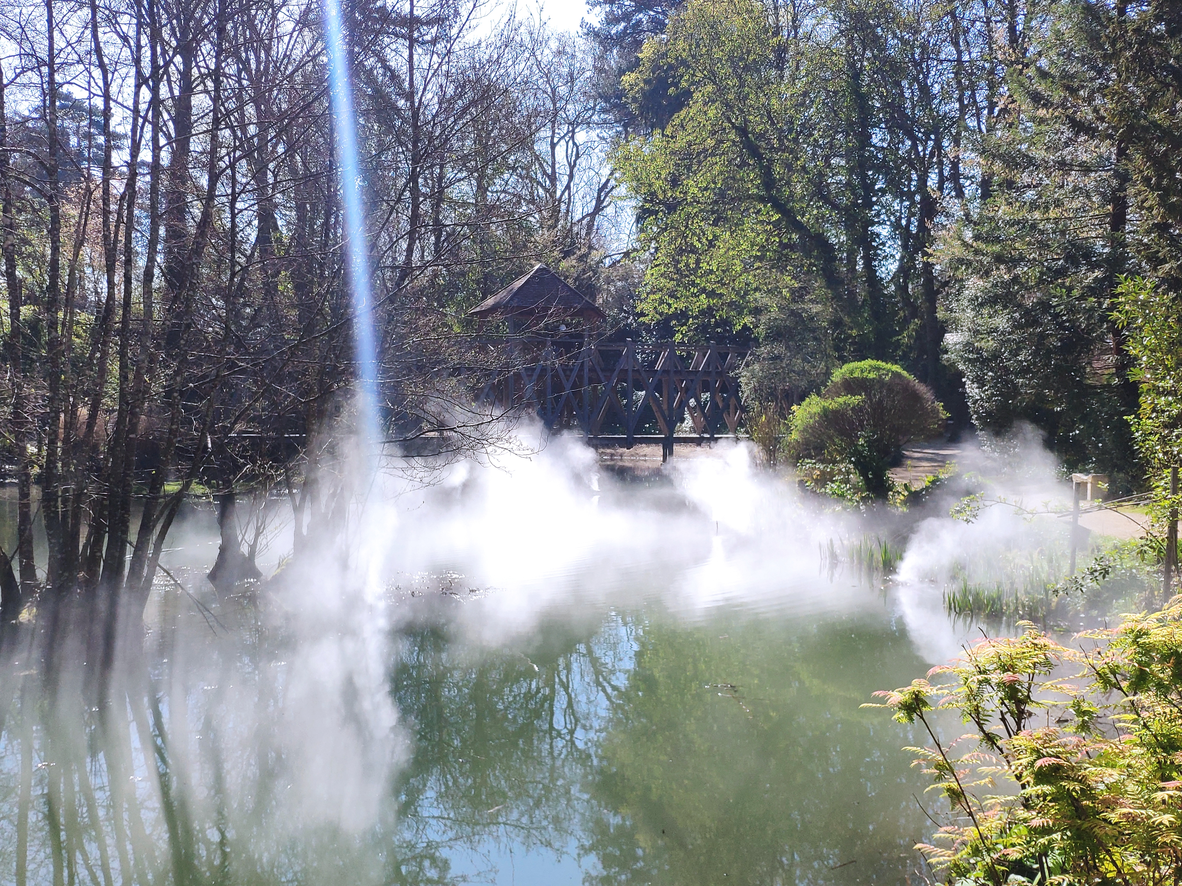 Photo n° 6 de l'avis de Svenja.e fait le 16/04/2023 à 09:21