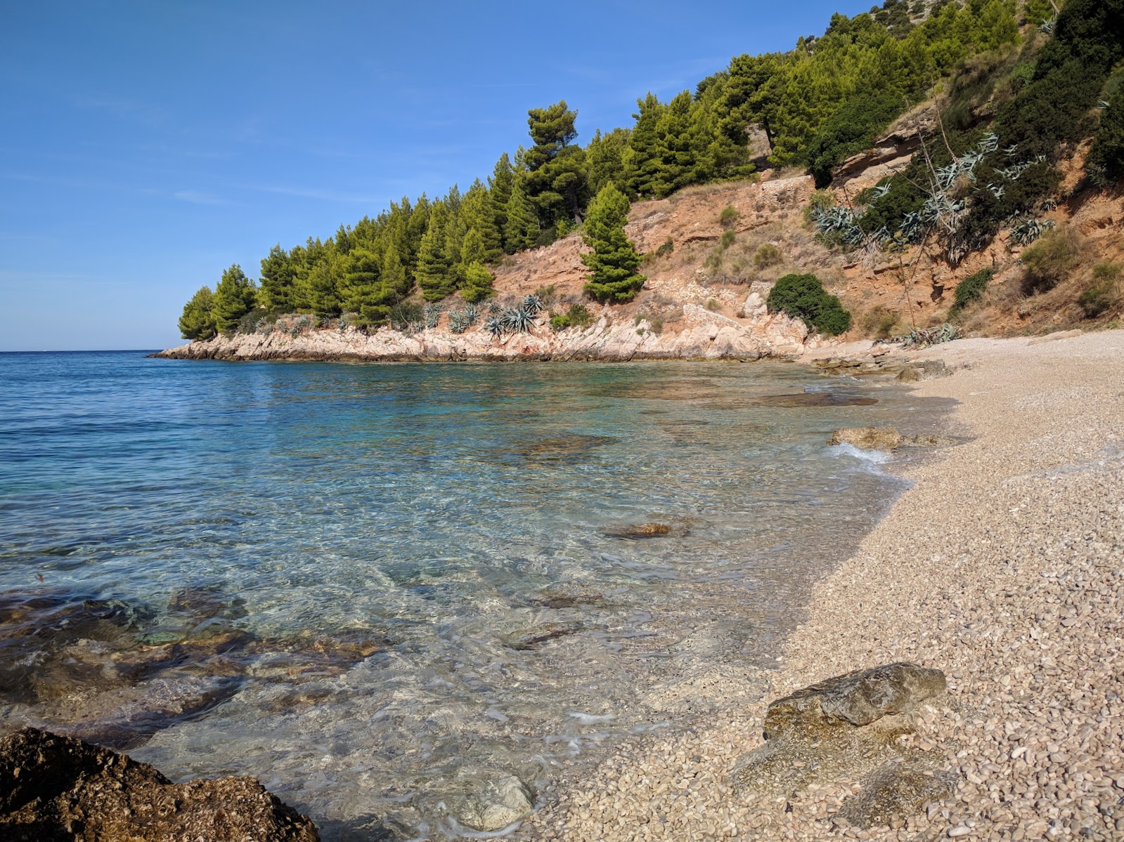 Foto de Mali Zagradac beach localizado em área natural