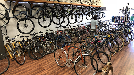 Bicycle Store «Sprockets Bicycle Shop», reviews and photos, 231 W Hickory St, Denton, TX 76201, USA