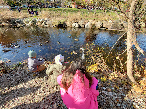 Park «Mill River Park», reviews and photos, 1010 Washington Blvd, Stamford, CT 06901, USA