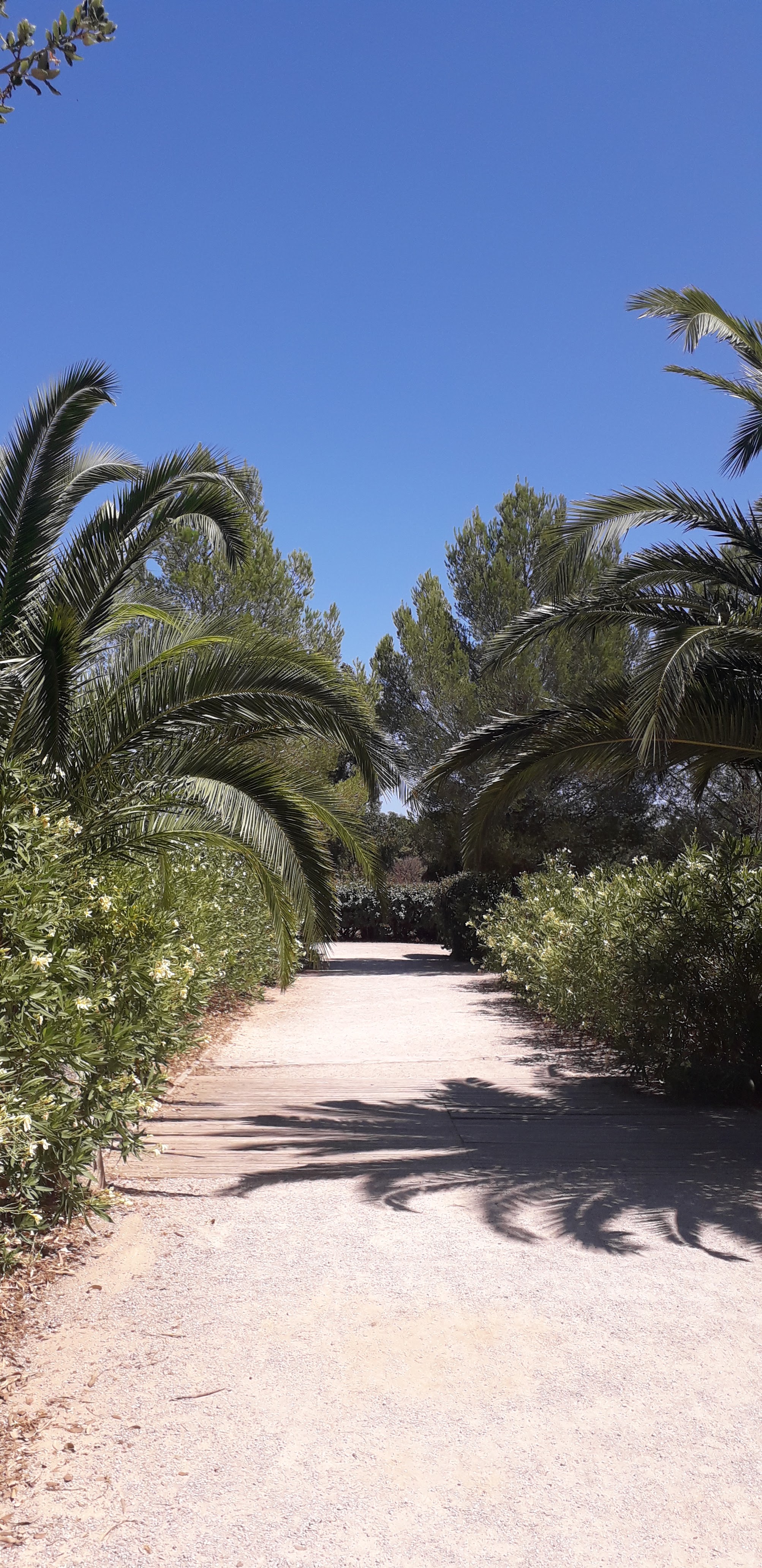 Photo n° 1 de l'avis de Maryse.� fait le 16/08/2019 à 12:43