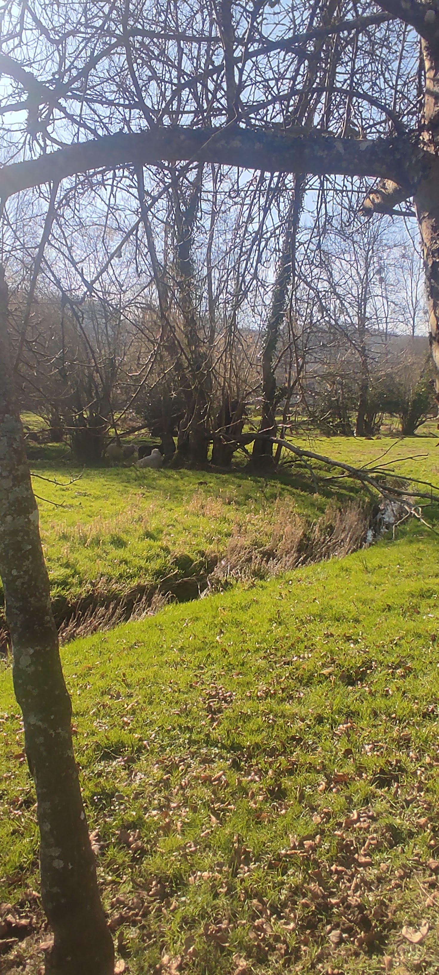 Photo n° 3 de l'avis de Laurence.o fait le 17/02/2023 à 20:20