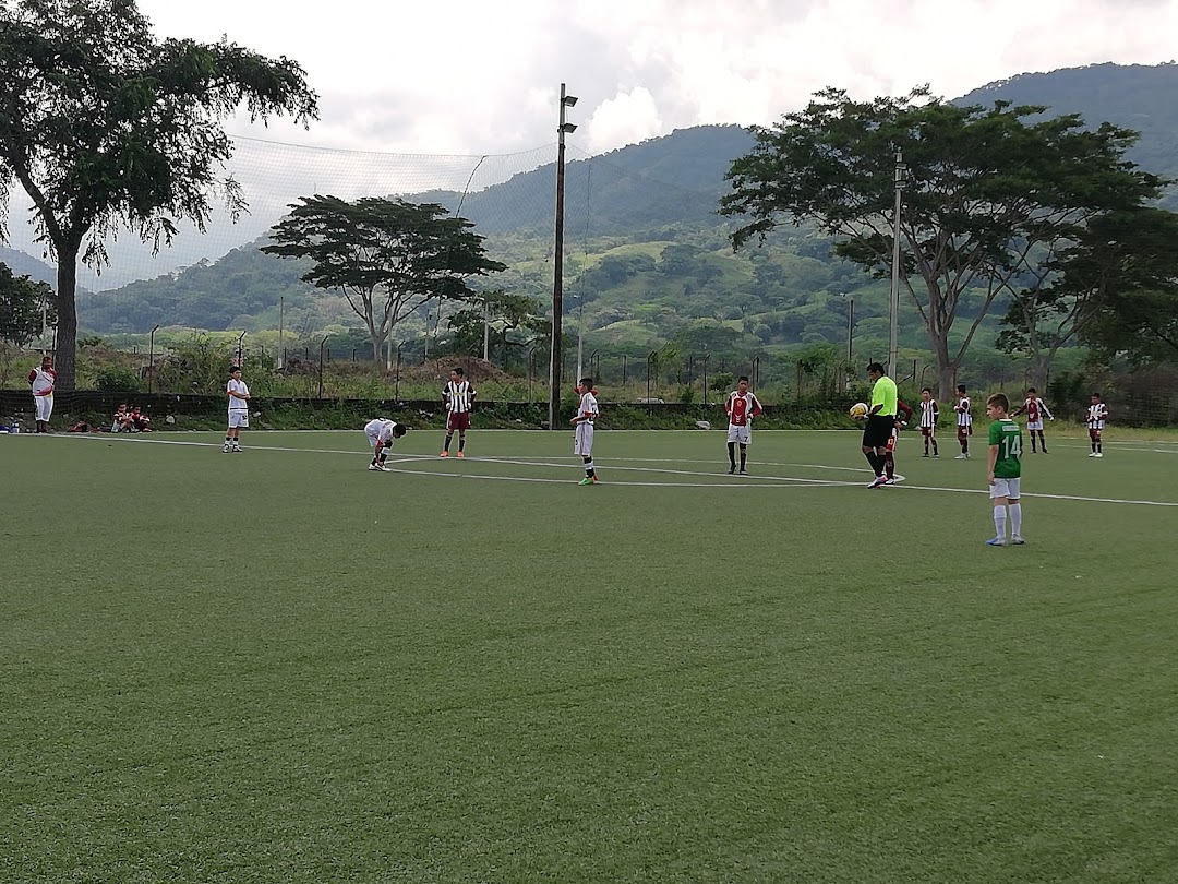 canchas sinteticas, Copa Mundo