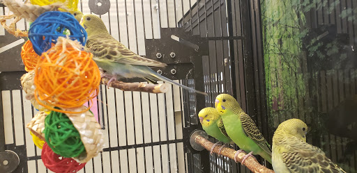 Pet Supply Store «Petco Animal Supplies», reviews and photos, 2575 Fairview Ave N, Roseville, MN 55113, USA