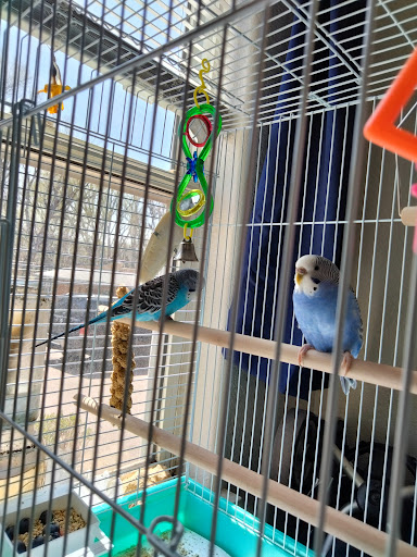 Pet Store «Pet City Pet Shops», reviews and photos, 750 Citadel Dr N # 2092, Colorado Springs, CO 80909, USA