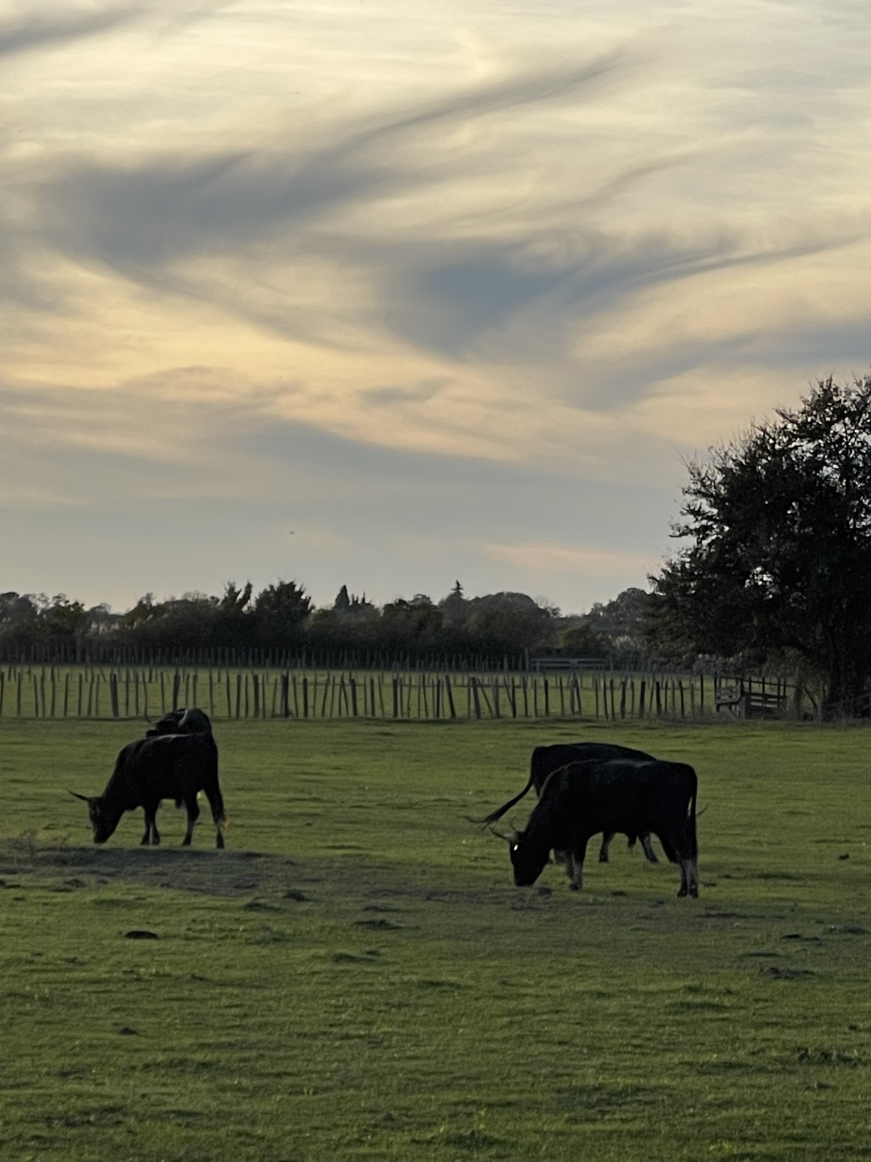 Photo n° 5 de l'avis de Jean-Baptiste.p fait le 07/11/2022 à 17:14